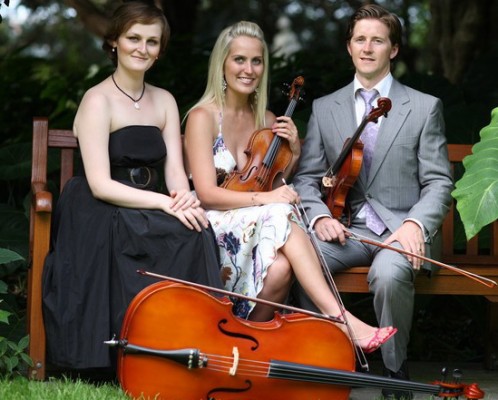 hunter-valley-strings.jpg